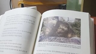 나의 문화유산답사기, 유홍준, 교토, 일본편3, 하타씨, 대언천, 제방, 가쓰라강,가도노, 신라, 하야시아