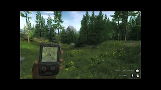 The Hunter Classic Bora Caçar