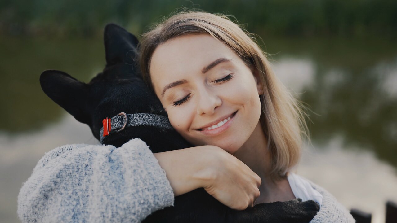 Love your Dog day and Night! A heartwarming story❤️🐕‍🦺❤️