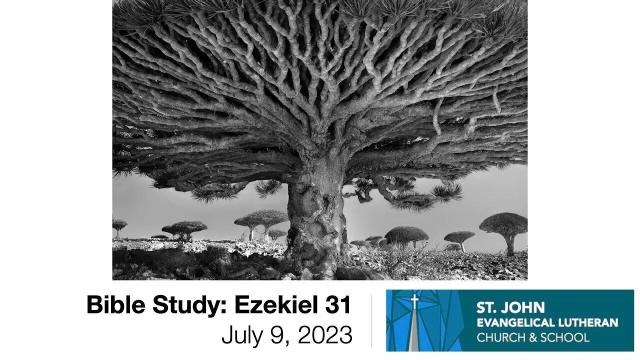 Bible Study: Ezekiel 31 — July 9, 2023