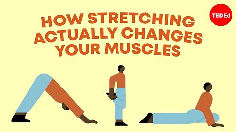 How stretching actually changes your muscles- Malachy McHugh