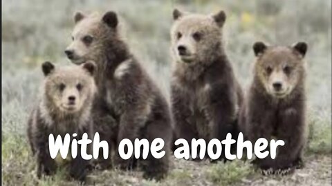 Let's learn how to forebear with one another.