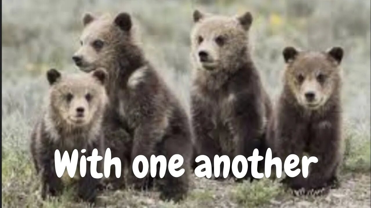 Let's learn how to forebear with one another.