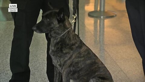 Local K-9's heading to Arizona for Super Bowl LVII