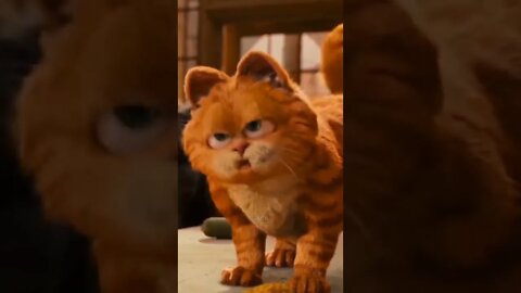 Garfield #shorts #edit