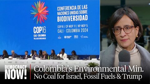 Colombian Environment Min. Susana Muhamad on Banning Coal to Israel, Phasing Out Fossil Fuel & Trump