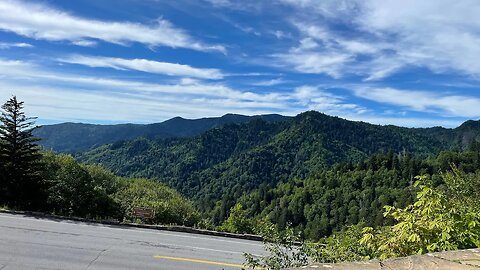 BLUE RIDGE MOUNTAINS AND WILD ELK!