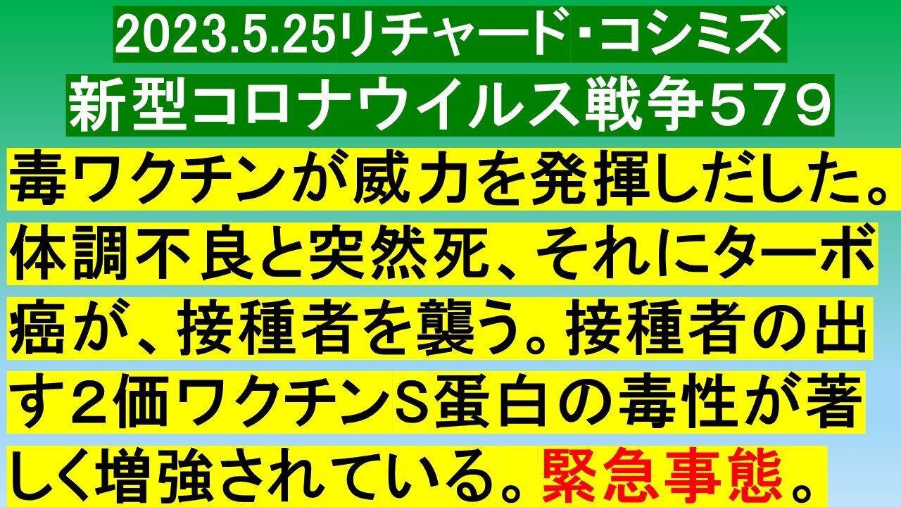 2023.05.25 リチャード・コシミズ新型コロナウイルス戦争５７９