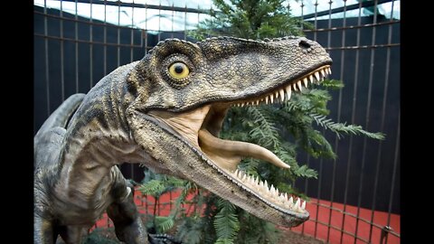 Velociraptor