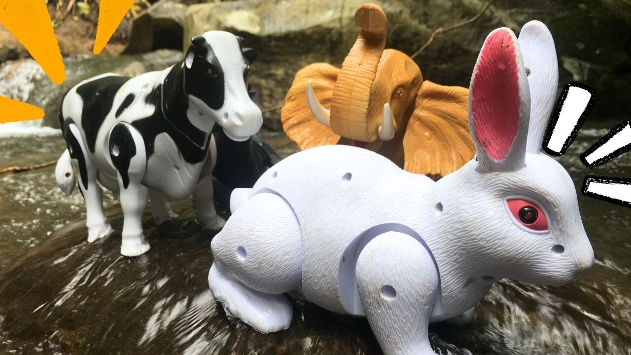 Find and Clean Up Elephants, Cows and Buffaloes in Real Rivers