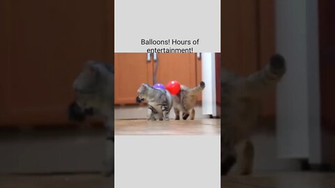 Balloons! Hours of entertainment!