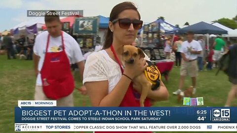 The BULLetin Board: Biggest pet adopt-a-thon event in the west