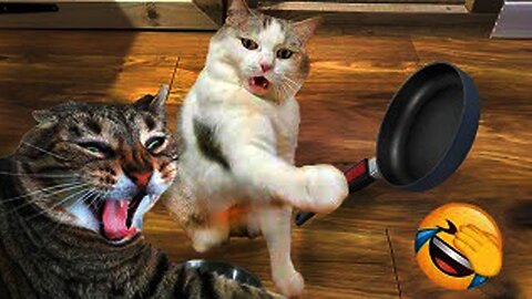 "Funny pranks and bloopers with animals! You will laugh out loud!"