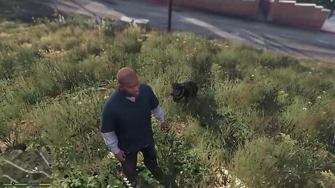 GTA V BUGGIN
