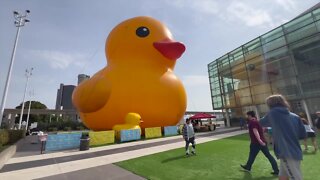 VIDEO: Massive Duck seen in Detroit skyline