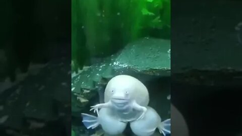 When you try to give signals that you're hungry on the shy to your SO