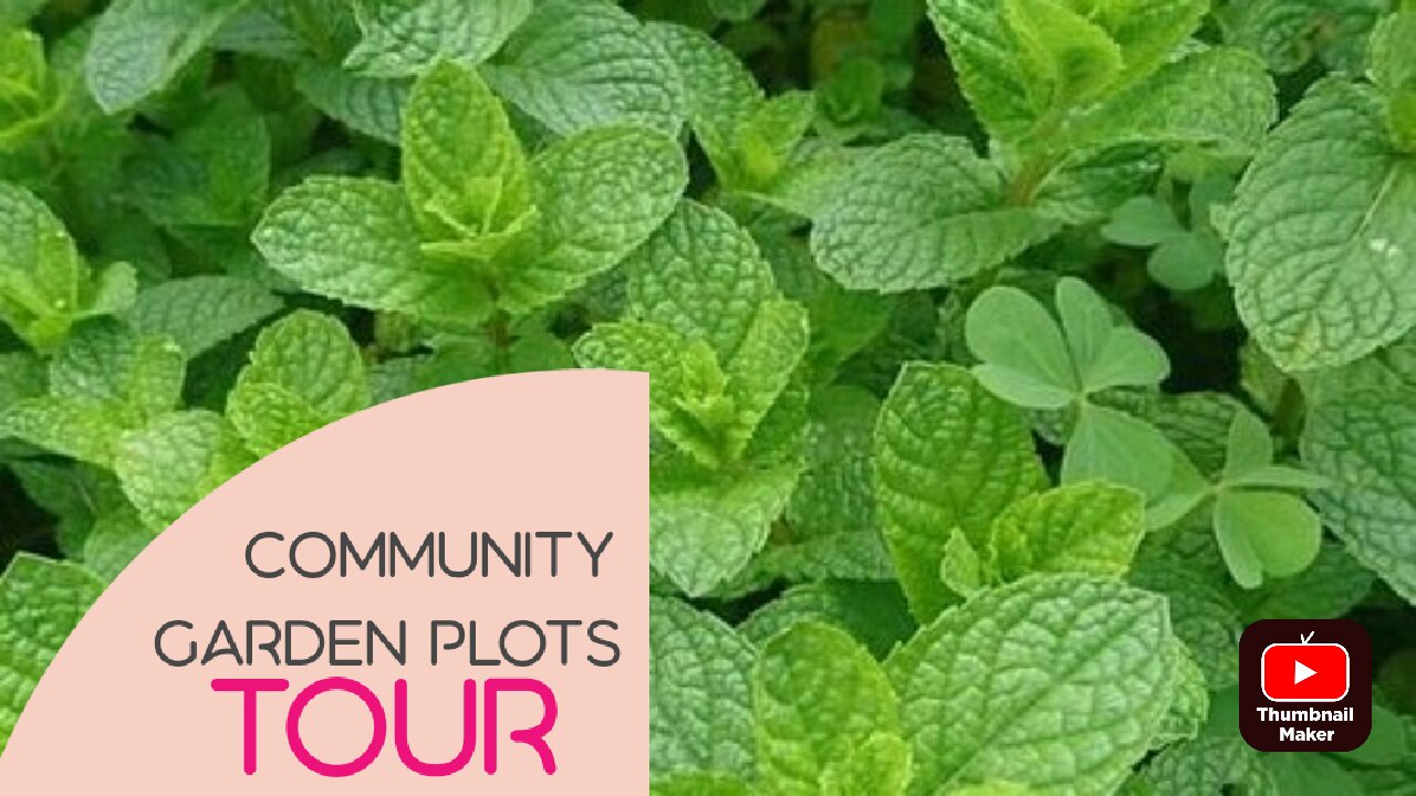 May 2024 Community Garden Tour