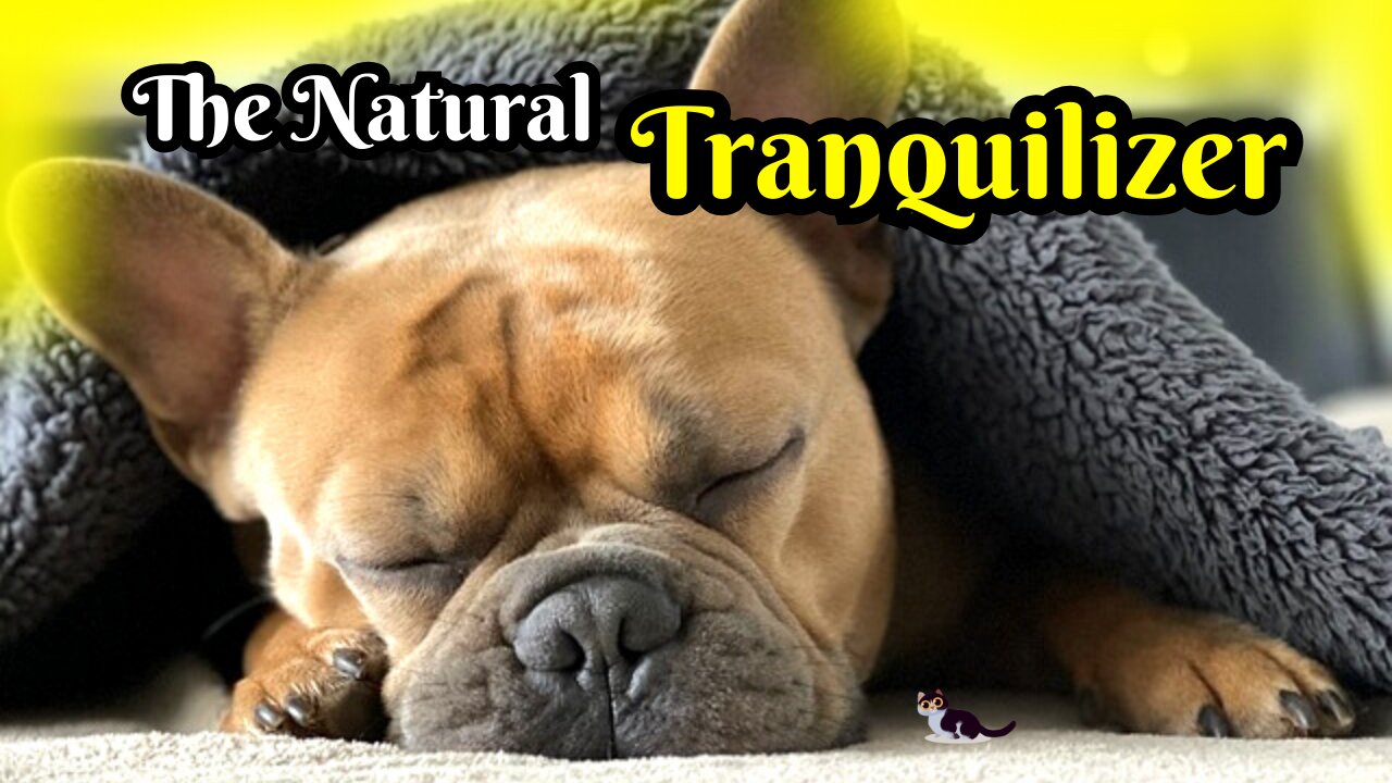 The Natural Tranquilizer - 741Hz. The Best Sleep-Aid.