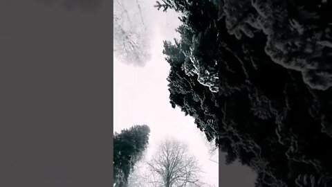 Amazing View