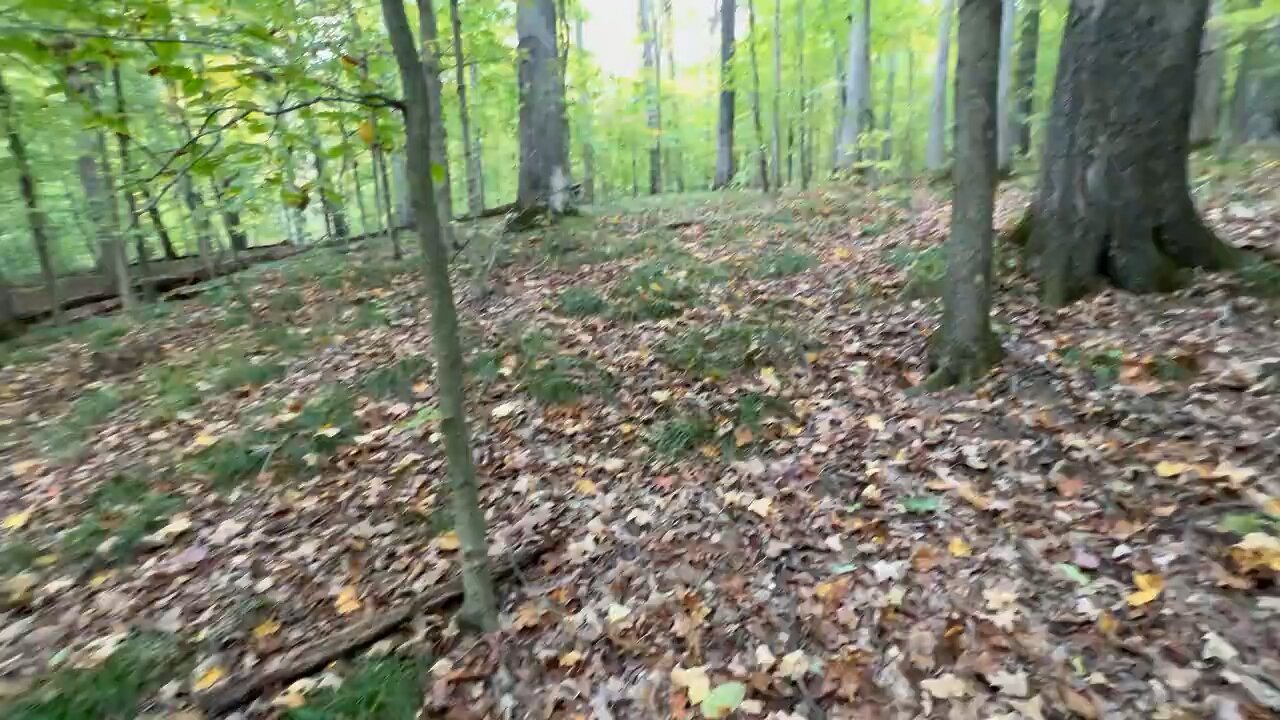 13 Over a ridge, back to our valley