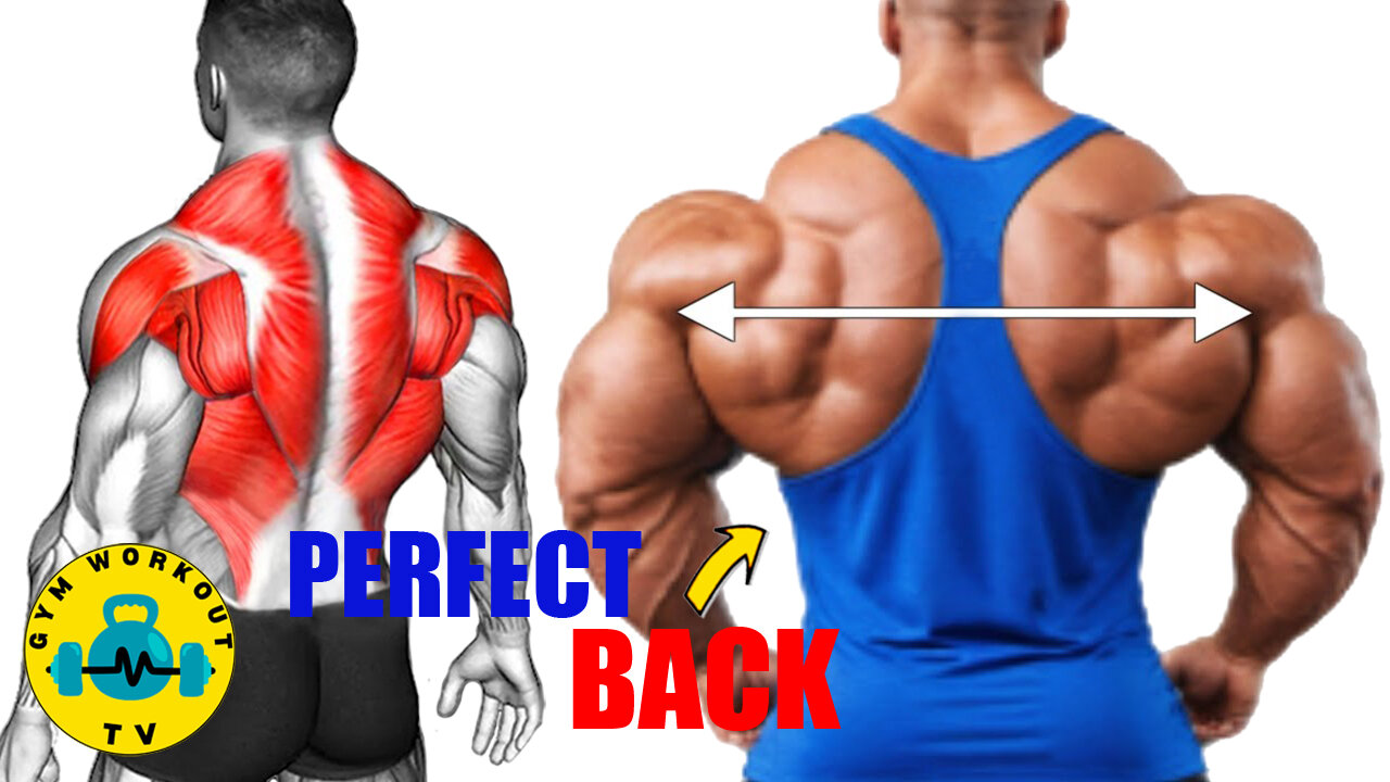 6 Perfect Back Exercises (Fastest) | Back Workout at Gym