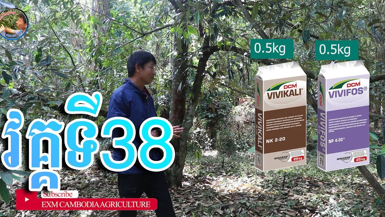 ដើមទុរេន CM10 part 38 វគ្គនេះមិនសូវមានព្រលឹងទេ!!