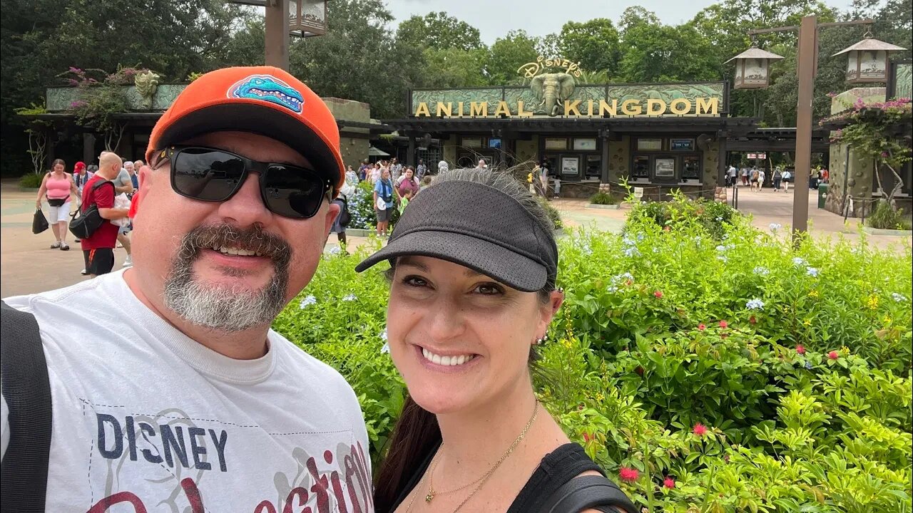 Animal kingdom 8/11/22 livestream replay