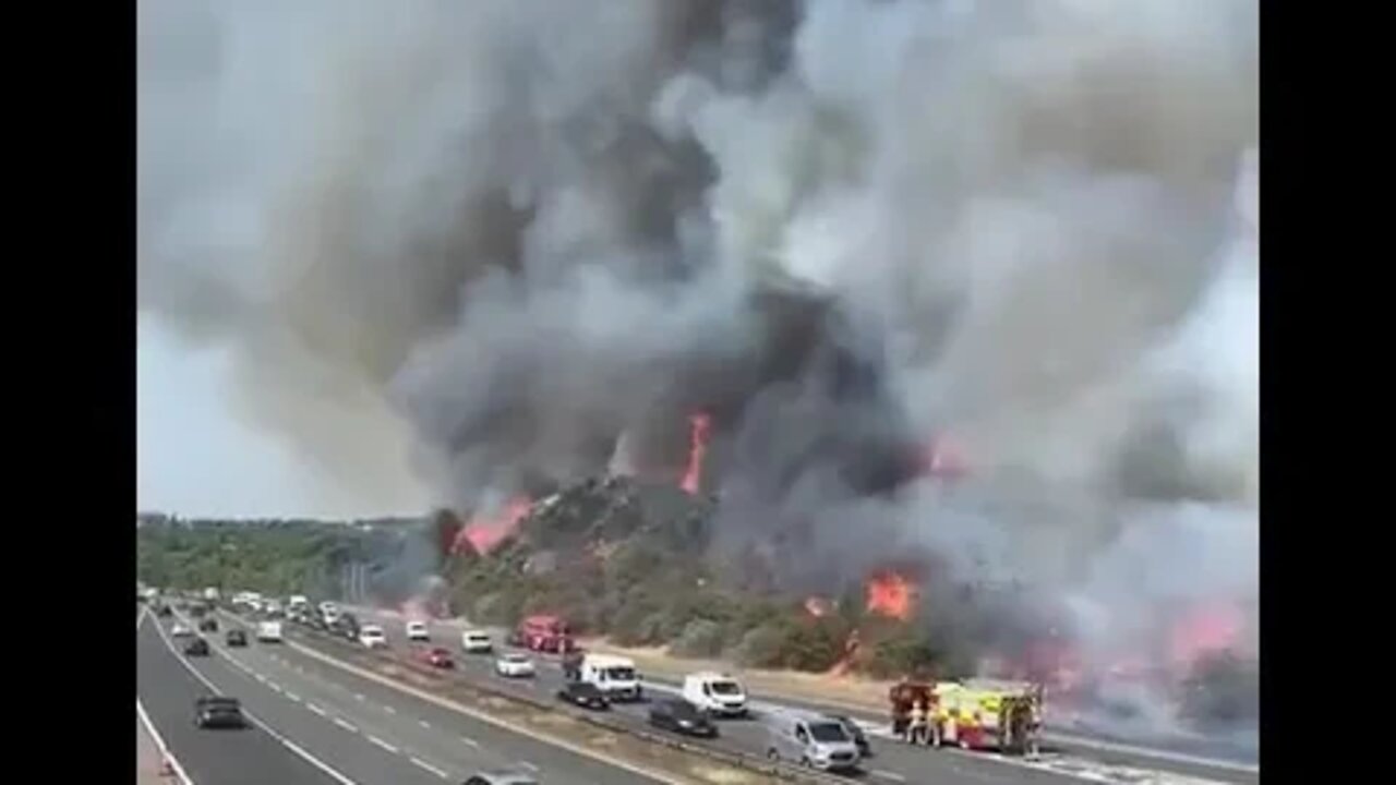 NOW - Trees on fire along a highway east of London, UK