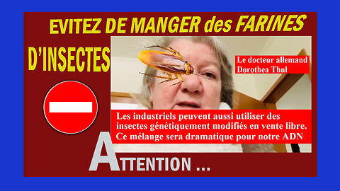 NON aux farines à base d'insectes ...Dr Dorotea THUL (Hd 720) Voir descriptif