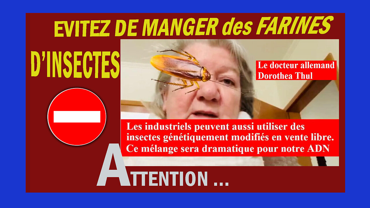 NON aux farines à base d'insectes ...Dr Dorotea THUL (Hd 720) Voir descriptif