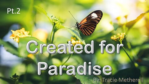 "Created for Paradise" Tracie Metherell 07-25-20 pt.2