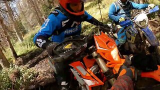 Horseshoe in the wet (2022) - Tackling the root matrix!