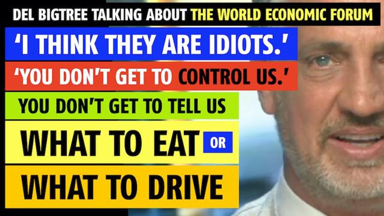 'I think they are idiots', Del Bigtree says about the World Economic Forum (WEF)