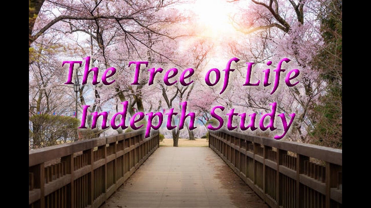 How to Feast on The Tree of Life through The Word