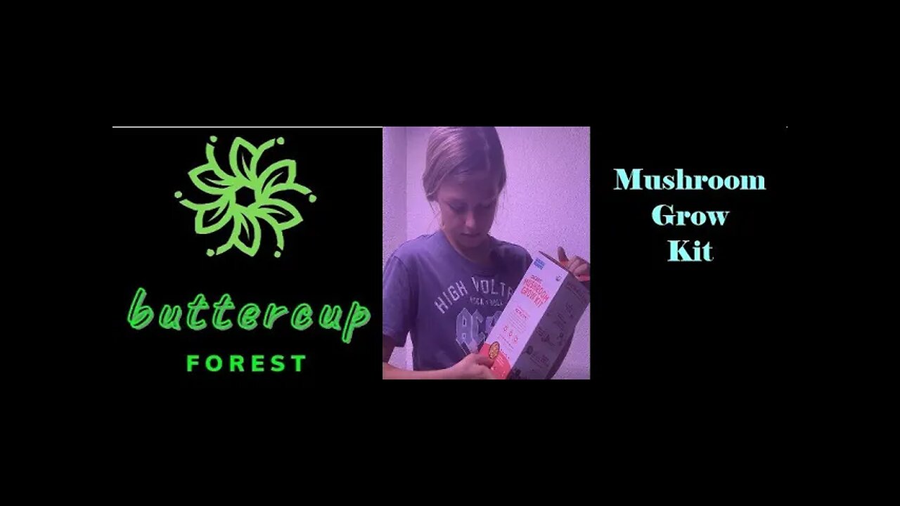 Gardening made easy - How to grow Mushrooms using grow kit