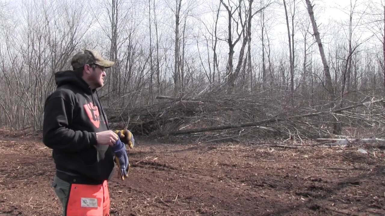 #55 Establishing a Food Plot "Landscaping for Whitetails"