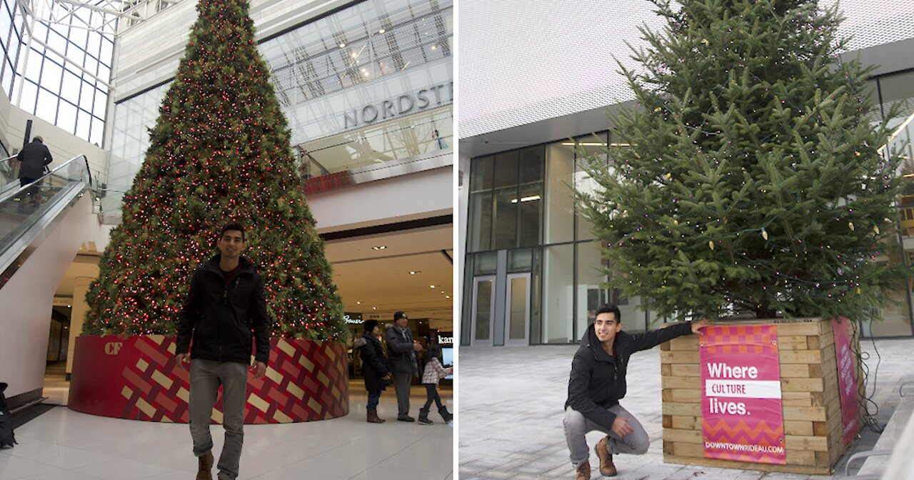 You Can Win $500 Taking Selfies With Christmas Trees In Ottawa