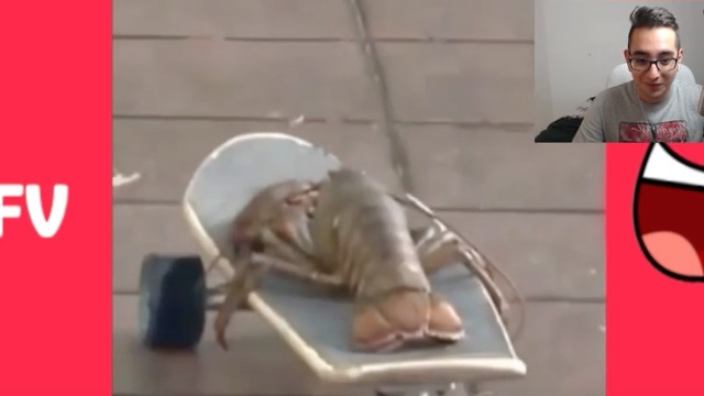 Try not to laugh challenge! #4