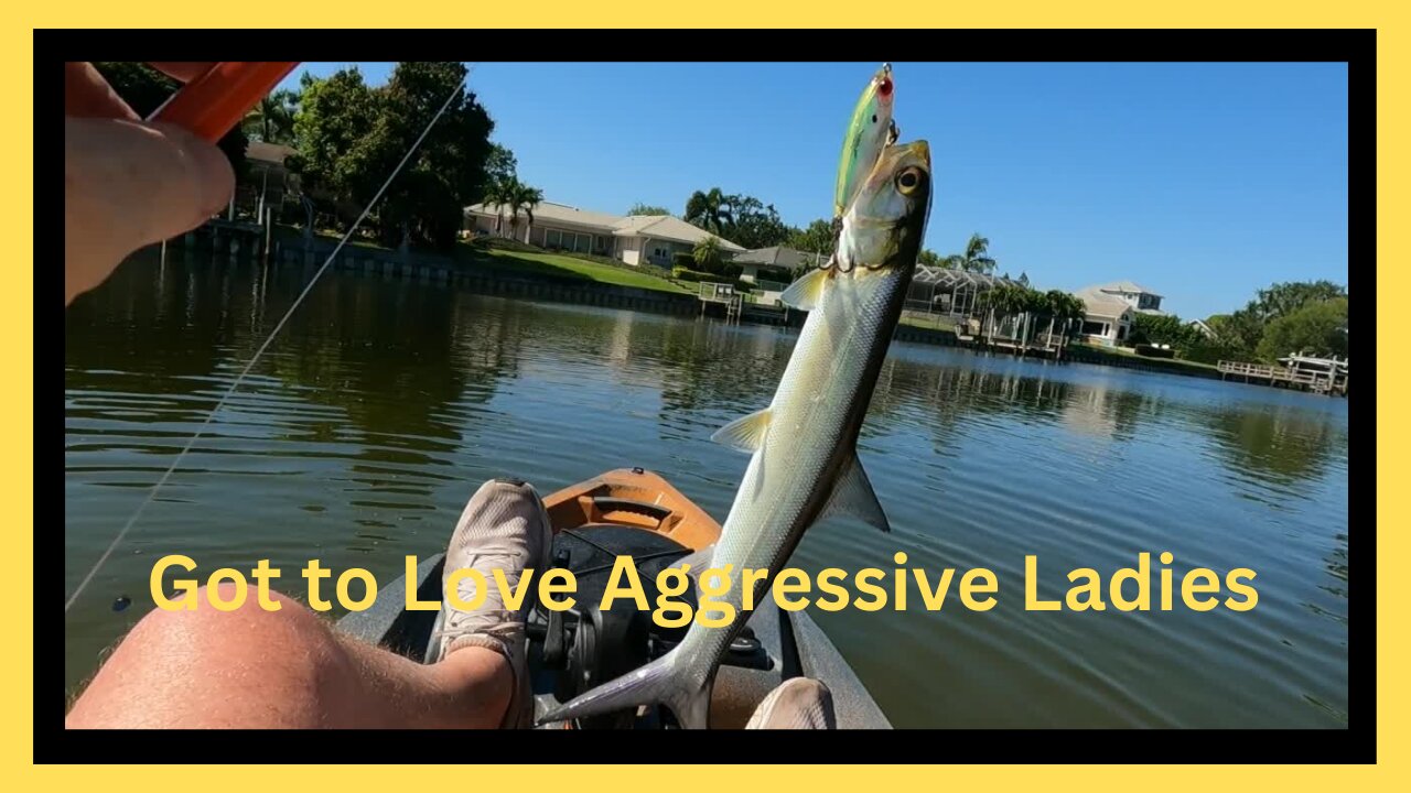 Aggressive Ladies Save the day...Fishing near Weedon Island