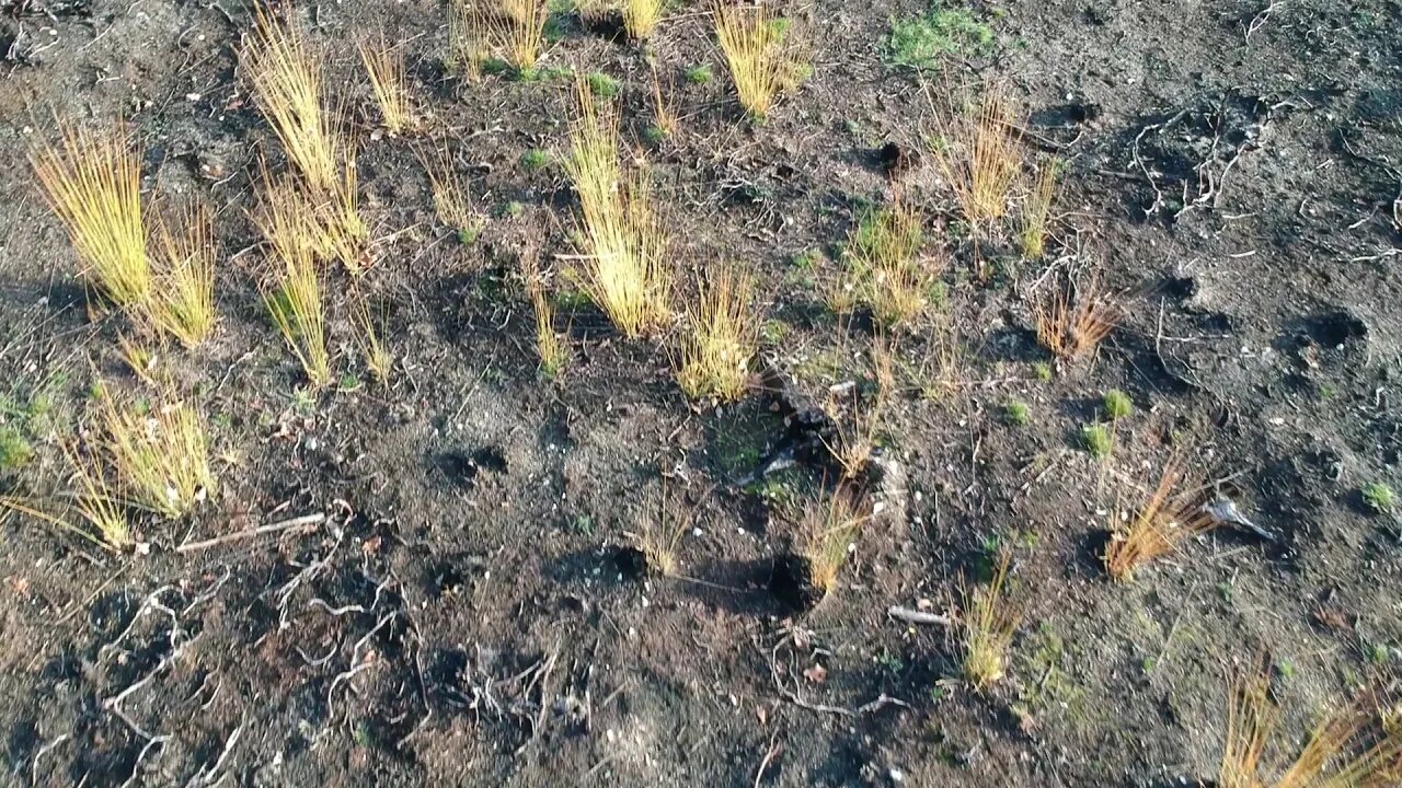 Na de heidebrand Meinweg