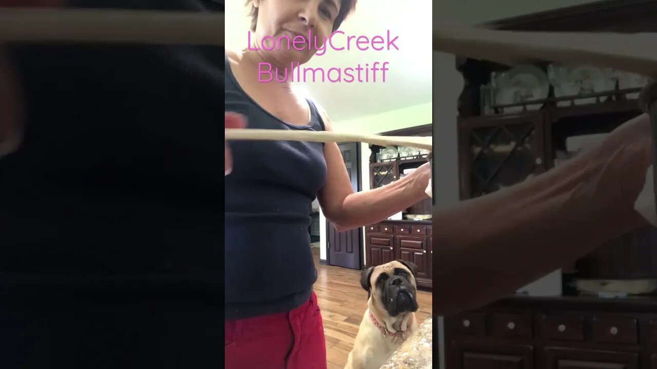 When your dogs wants to help u cook !