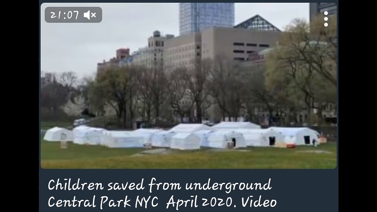 Children saved from underground Central Park NYC April 2020.