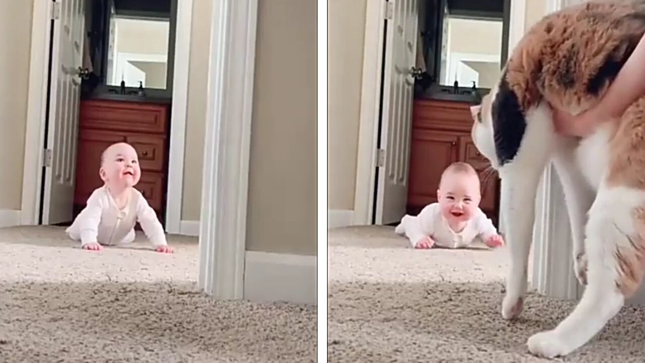 Strong Baby Plays Peek A Boo With His Cat