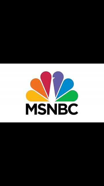 MSNBC In A Nutshell #Shorts Version