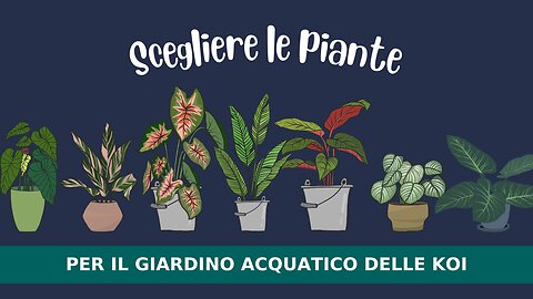 Scegliere le piante per il giardino acquatico delle Koi