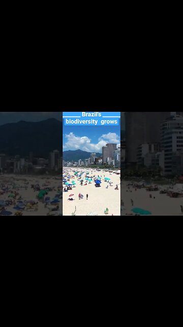 ⛱️ Country FUN facts Brazil Amazon Rio de Janeiro #shorts