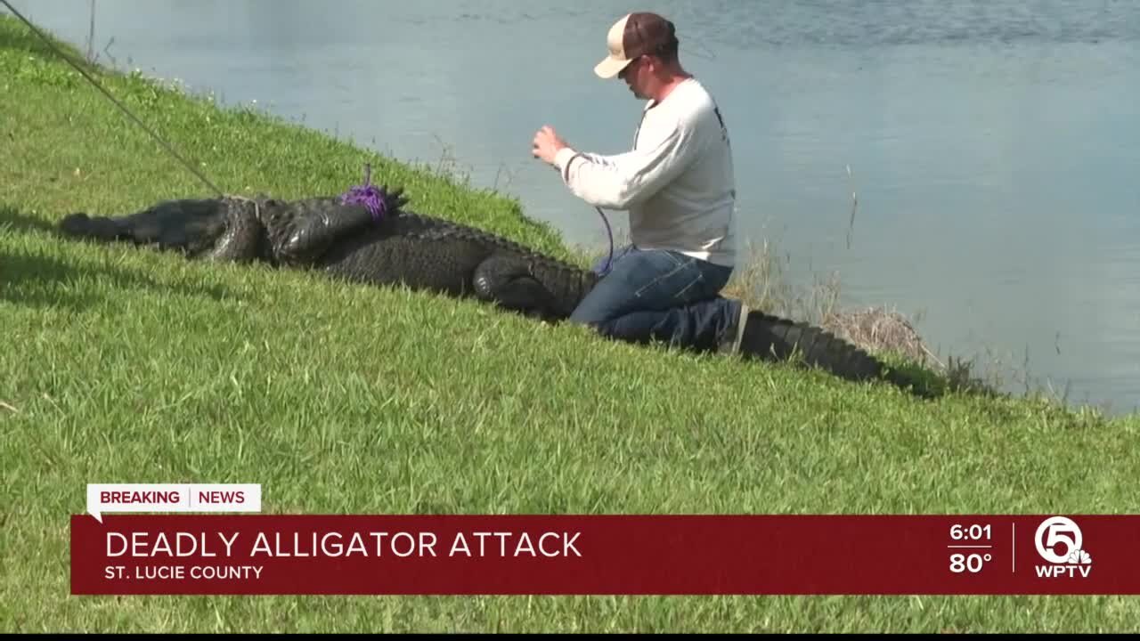 Elderly St. Lucie County woman killed by alligator