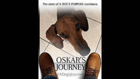 A Dog's Journey