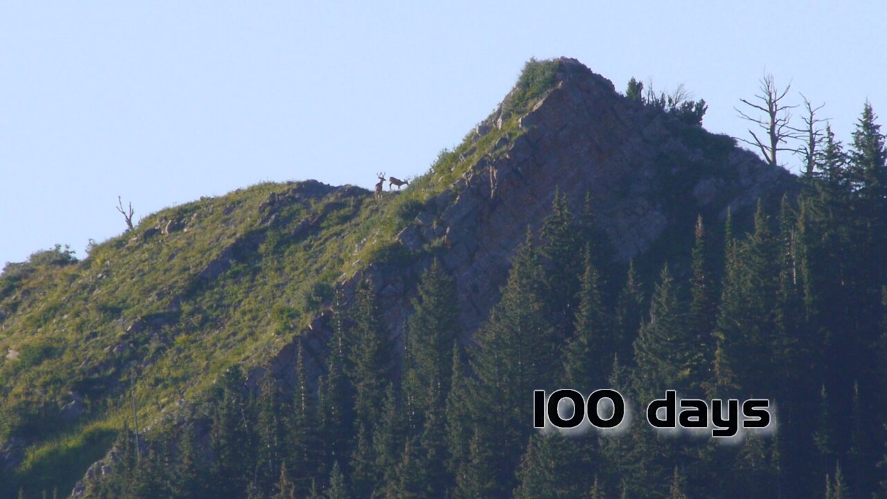 100 Days