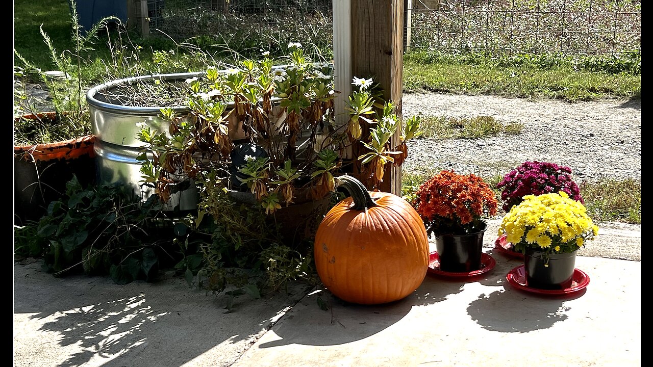 Tower Garden Updates! Porch Door Welcome & Fall Decorating!